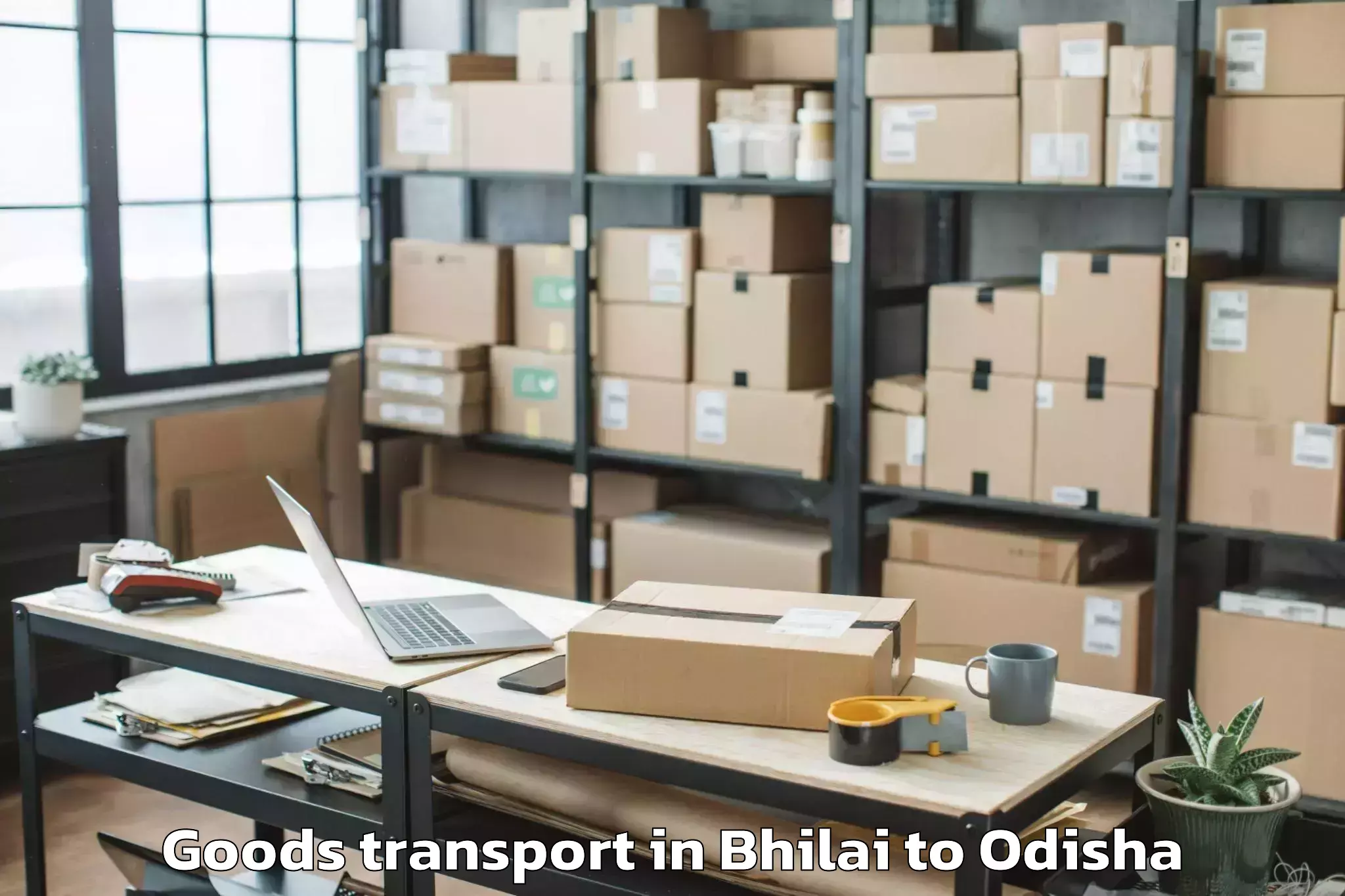 Top Bhilai to Nuapada Goods Transport Available